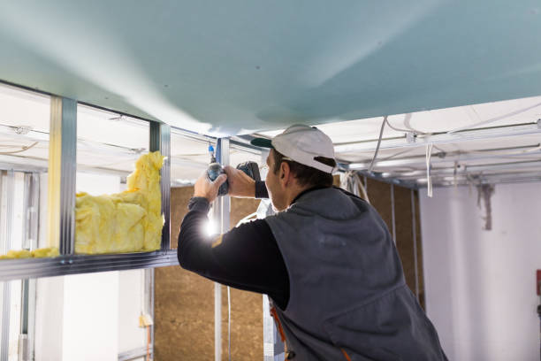 Best Insulation Replacement Services  in Palm Springs, CA